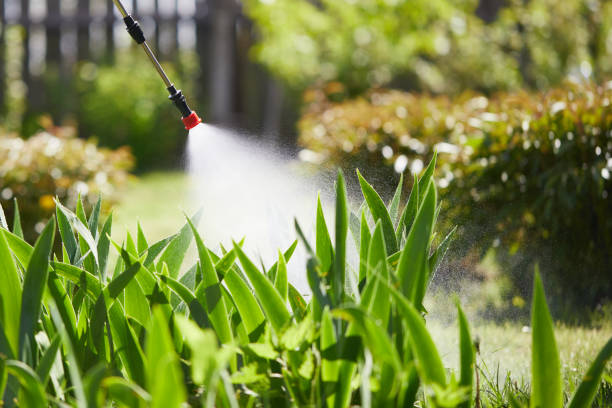 24/7 Emergency Mosquito Control experts in Felton, CA