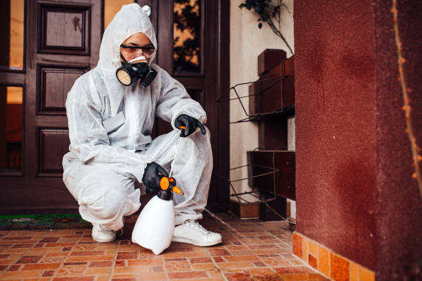 Reliable Mosquito Control contractor in Felton, CA by Show Me Pest Control